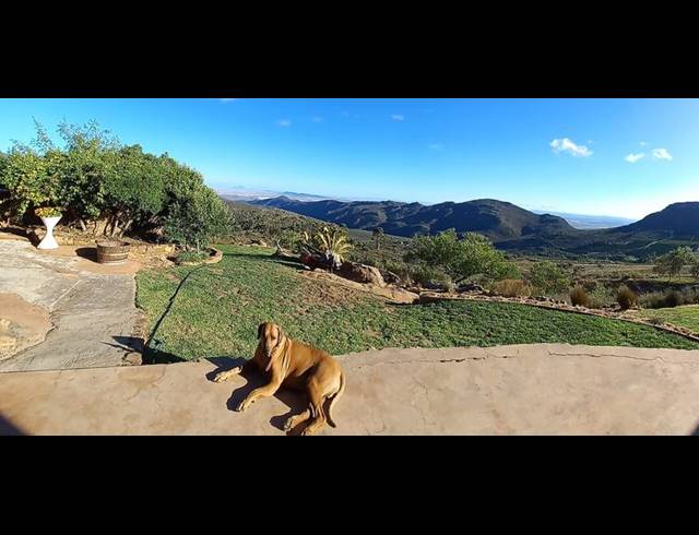 FARM FOR SALE IN PIKETBERG RURAL
